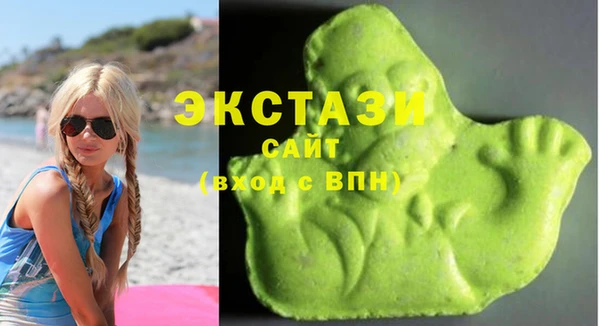 гидра Коряжма