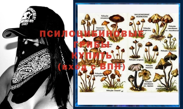 MDMA Козловка