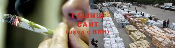 гидра Коряжма