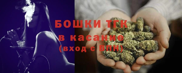 гидра Коряжма