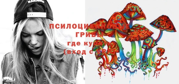 меф Корсаков