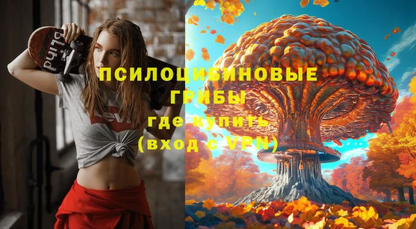 синтетический гашиш Костерёво