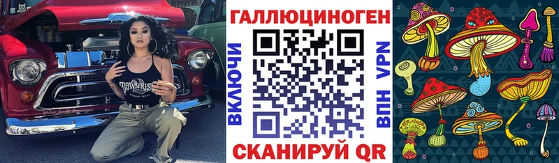 Псилоцибиновые грибы Psilocybine cubensis  Кировград 
